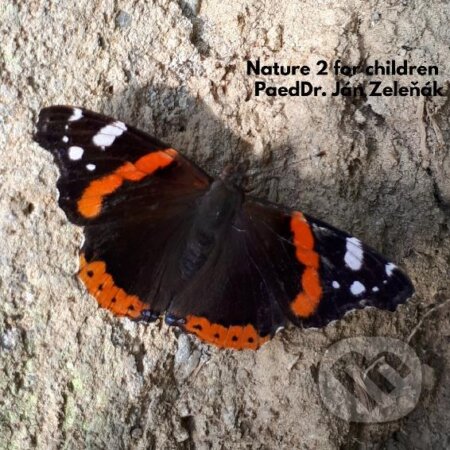 E-kniha: Nature for children, part 2 (Ján Zeleňák). Ján Zeleňák E-kniha: Nature for children, part 2 (Ján Zeleňák). Ján Zeleňák