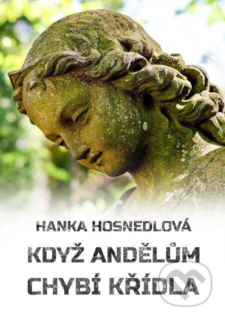 E-kniha: Když andělům chybí křídla (Hanka Hosnedlová). E-knihy jedou E-kniha: Když andělům chybí křídla (Hanka Hosnedlová). E-knihy jedou