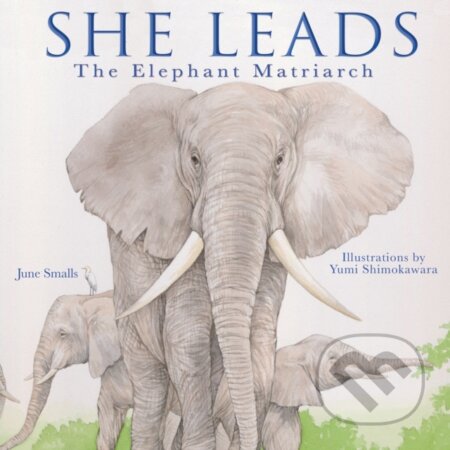 Kniha: She Leads (June Smalls). Familius, 2020 Kniha: She Leads (June Smalls). Familius, 2020