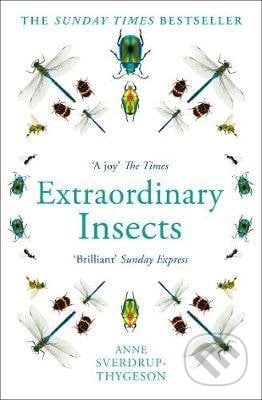 Extraordinary Insects - Anne Sverdrup-Thygeson, Mudlark, 2020