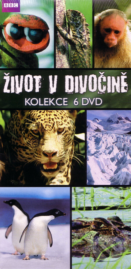 Film: Kolekcia: BBC edícia: Život v divočine - 6 DVD (N/A) (DVD). Hollywood Film: Kolekcia: BBC edícia: Život v divočine - 6 DVD (N/A) (DVD). Hollywood