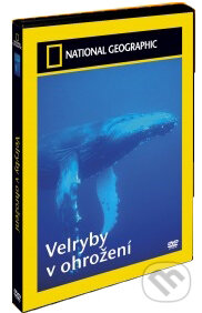 Film: Veleryby v ohrození (Magicbox) (DVD). Magicbox, 2004 Film: Veleryby v ohrození (Magicbox) (DVD). Magicbox, 2004