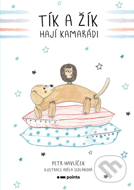 Kniha: Tík a Žík, hají kamarádi (Petr Havlíček). Pointa, 2020 Kniha: Tík a Žík, hají kamarádi (Petr Havlíček). Pointa, 2020