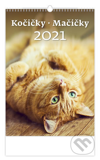 Kočičky/Mačičky, Helma365, 2020