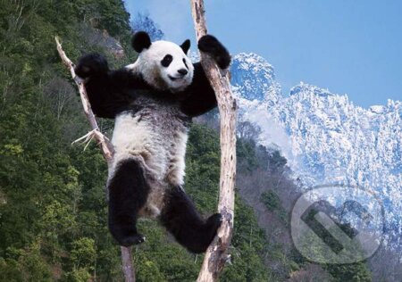 Puzzle: Panda (Clementoni). Clementoni Puzzle: Panda (Clementoni). Clementoni