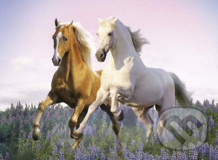 Puzzle: Kone (Clementoni). Clementoni Puzzle: Kone (Clementoni). Clementoni