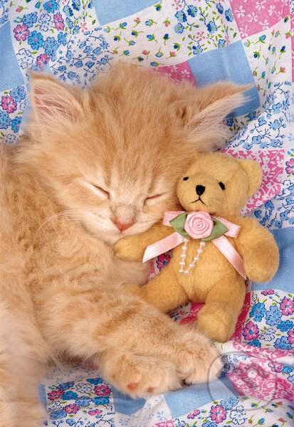 Puzzle: Kitty & the Bear (Clementoni). Clementoni Puzzle: Kitty & the Bear (Clementoni). Clementoni