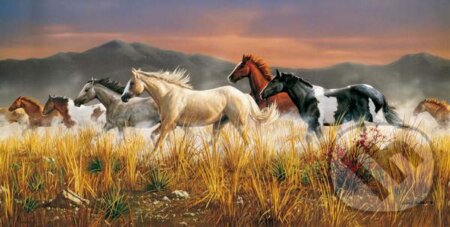 Puzzle: Band of Thunder (Clementoni). Clementoni Puzzle: Band of Thunder (Clementoni). Clementoni