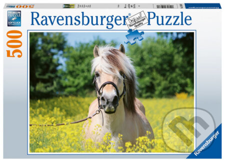 Plavý kůň, Ravensburger, 2020