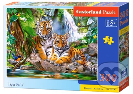 Tiger Falls, Castorland, 2020
