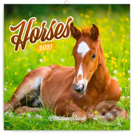 Poznámkový kalendář Koně  2021 - Christiane Slawik, Presco Group, 2020