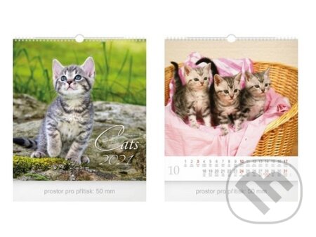 Malý Cats - nástěnný kalendář 2021, MFP, 2020