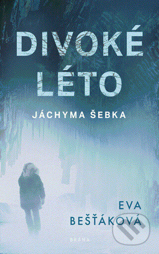 E-kniha: Divoké léto Jáchyma Šebka (Eva Bešťáková). Brána, 2020 E-kniha: Divoké léto Jáchyma Šebka (Eva Bešťáková). Brána, 2020