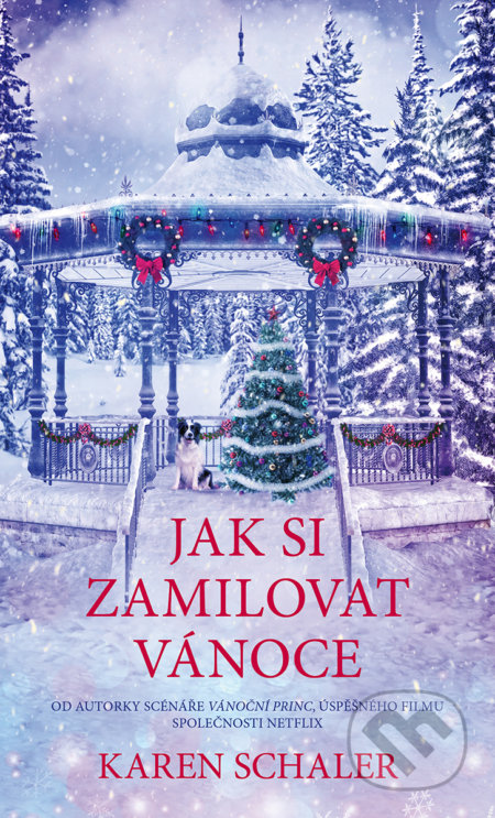 Kniha: Jak si zamilovat Vánoce (Karen Schaler). Baronet, 2020 Kniha: Jak si zamilovat Vánoce (Karen Schaler). Baronet, 2020