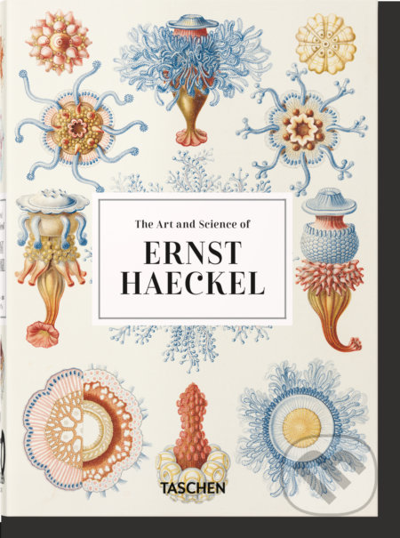 Kniha: Ernst Haeckel (Julia Voss a Rainer Willmann). Taschen, 2020 Kniha: Ernst Haeckel (Julia Voss a Rainer Willmann). Taschen, 2020
