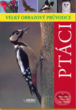 Kniha: Ptáci (Vladimír Bejček). Rebo, 2010 Kniha: Ptáci (Vladimír Bejček). Rebo, 2010