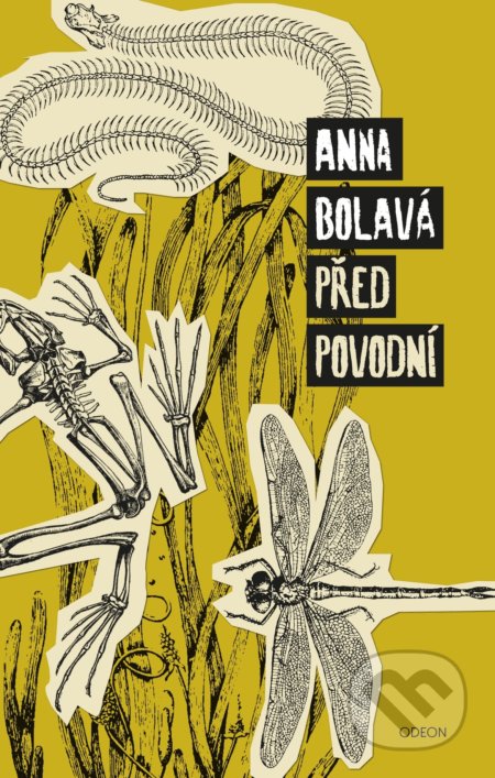 Kniha: Před povodní (Anna Bolavá). Odeon CZ, 2020 Kniha: Před povodní (Anna Bolavá). Odeon CZ, 2020