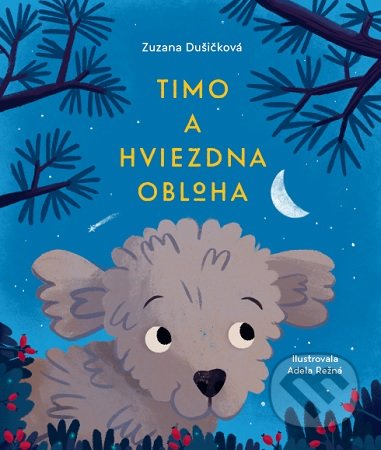 Kniha: Timo a hviezdna obloha (Zuzana Dušičková). Zum Zum production, 2020 Kniha: Timo a hviezdna obloha (Zuzana Dušičková). Zum Zum production, 2020