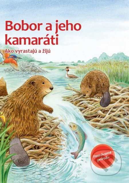 Bobor a jeho kamaráti, Bookmedia, 2021