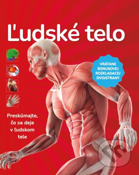 Kniha: Ľudské telo - Preskúmajte čo sa deje v ľudskom tele (Bookmedia). Bookmedia, 2021 Kniha: Ľudské telo - Preskúmajte čo sa deje v ľudskom tele (Bookmedia). Bookmedia, 2021