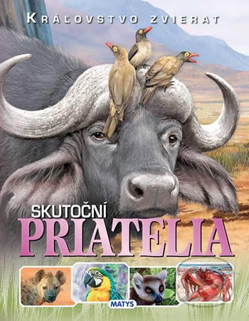Kniha: Kráľovstvo zvierat: Skutoční priatelia (Matys). Matys, 2020 Kniha: Kráľovstvo zvierat: Skutoční priatelia (Matys). Matys, 2020
