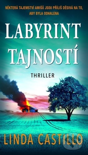 Kniha: Labyrint tajností (Linda Castillo), 2021 Kniha: Labyrint tajností (Linda Castillo), 2021
