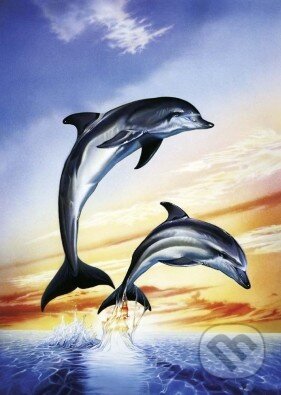 Delfíny, Schmidt