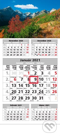 Štandard 5-mesačný sivý nástenný kalendár 2021 - jesenná krajina (Spektrum grafik). Spektrum grafik, 2020 Štandard 5-mesačný sivý nástenný kalendár 2021 - jesenná krajina (Spektrum grafik). Spektrum grafik, 2020