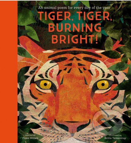 Kniha: Tiger, Tiger, Burning Bright! (Fiona Waters). Nosy Crow, 2020 Kniha: Tiger, Tiger, Burning Bright! (Fiona Waters). Nosy Crow, 2020
