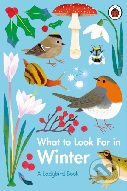 What to Look For in Winter - Elizabeth Jenner, Natasha Durley (ilustrátor), Ladybird Books, 2021