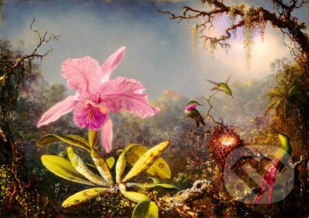 Puzzle: Martin Johnson Heade - Cattleya Orchid and Three Hummingbirds, 1871 (Bluebird). Bluebird, 2021 Puzzle: Martin Johnson Heade - Cattleya Orchid and Three Hummingbirds, 1871 (Bluebird). Bluebird, 2021