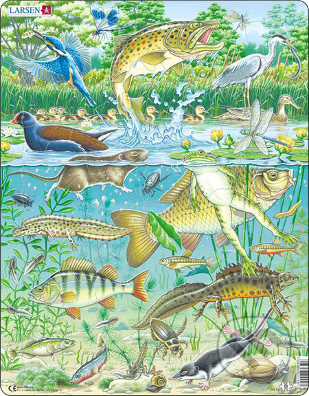 Puzzle: Jazierko (FH19) (Larsen). Larsen Puzzle: Jazierko (FH19) (Larsen). Larsen