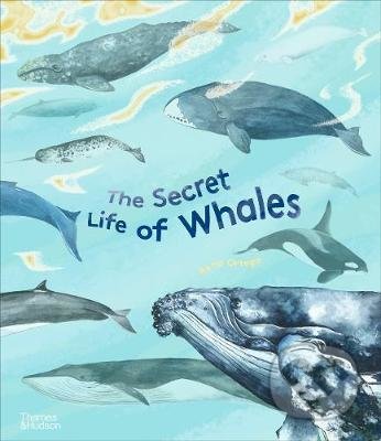 Kniha: The Secret Life of Whales (Rena Ortega). Thames & Hudson, 2021 Kniha: The Secret Life of Whales (Rena Ortega). Thames & Hudson, 2021