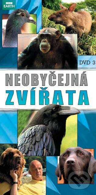 Film: Neobyčajné zvieratá 3 (Hollywood) (DVD). Hollywood, 2021 Film: Neobyčajné zvieratá 3 (Hollywood) (DVD). Hollywood, 2021