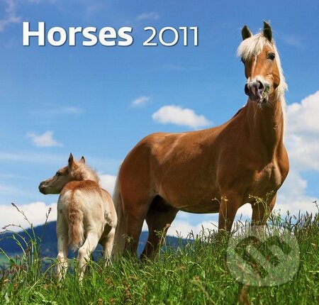 Horses 2011, Helma, 2010