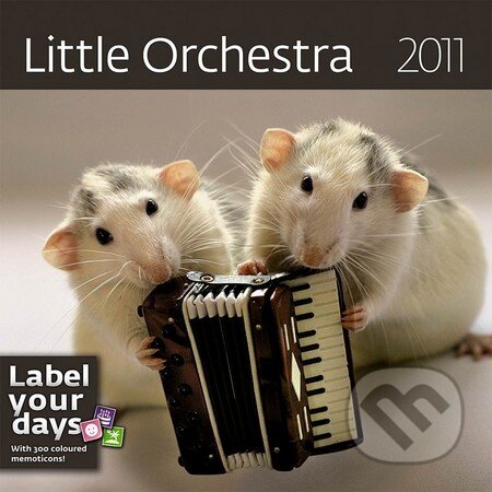 Little Orchestra 2011, Helma, 2010