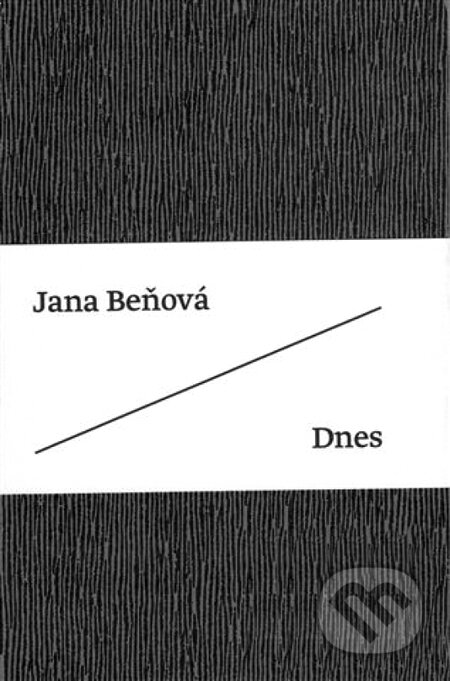 Kniha: Dnes (Jana Beňová). Artforum, 2010 Kniha: Dnes (Jana Beňová). Artforum, 2010