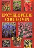 Kniha: Encyklopedie cibulovin (Autorský kolektív). Rebo, 2001 Kniha: Encyklopedie cibulovin (Autorský kolektív). Rebo, 2001
