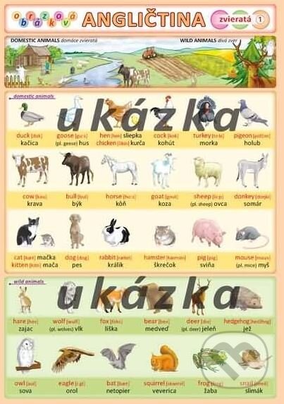 Kniha: Obrázková angličtina 1 - zvieratá (Kupka). Kupka Kniha: Obrázková angličtina 1 - zvieratá (Kupka). Kupka