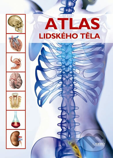 Kniha: Atlas lidského těla (Rebo). Rebo, 2010 Kniha: Atlas lidského těla (Rebo). Rebo, 2010
