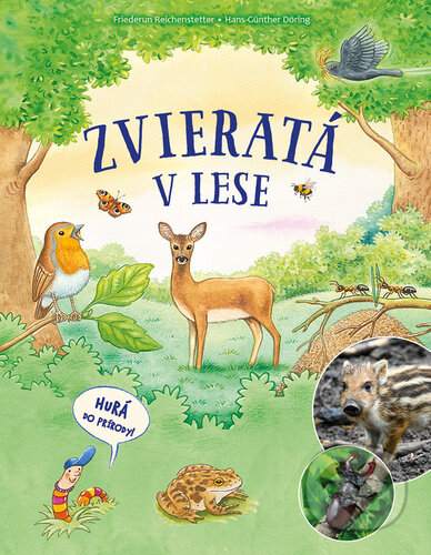 Kniha: Zvieratá v lese (Friederun Reichenstetter). Bookmedia, 2025 Kniha: Zvieratá v lese (Friederun Reichenstetter). Bookmedia, 2025