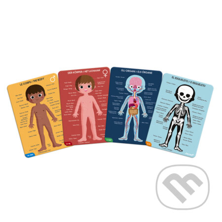 Puzzle: Ľudské telo (Janod). Janod, 2021 Puzzle: Ľudské telo (Janod). Janod, 2021