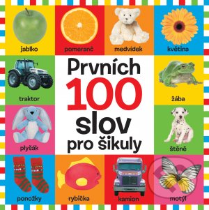 Prvních 100 slov pro šikuly, Svojtka&Co., 2021