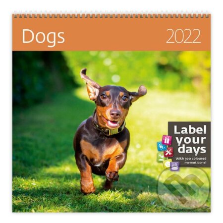 Dogs, Helma365, 2021
