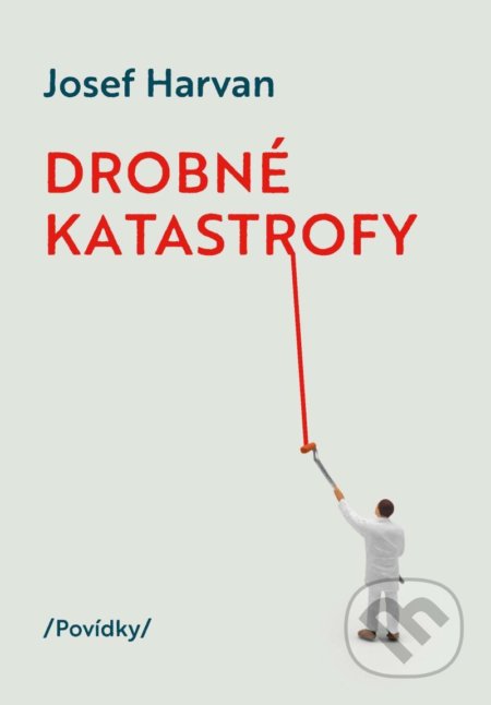 Kniha: Drobné katastrofy (Josef Harvan). FANY, 2021 Kniha: Drobné katastrofy (Josef Harvan). FANY, 2021