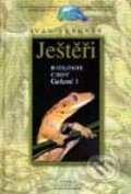 Kniha: Ještěři 1 - biologie, chov (Ivan Vergner). Madagaskar, 2001 Kniha: Ještěři 1 - biologie, chov (Ivan Vergner). Madagaskar, 2001