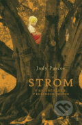 Strom - Judy Pascoe, Jota, 2011