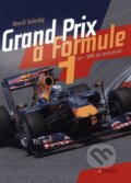 Grand Prix a Formule 1 - David Selucký, CPRESS, 2011