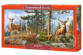 Royal deer family, Castorland, 2021