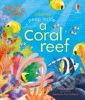Kniha: Peep inside a Coral Reef (Anna Milbourne). Usborne, 2021 Kniha: Peep inside a Coral Reef (Anna Milbourne). Usborne, 2021